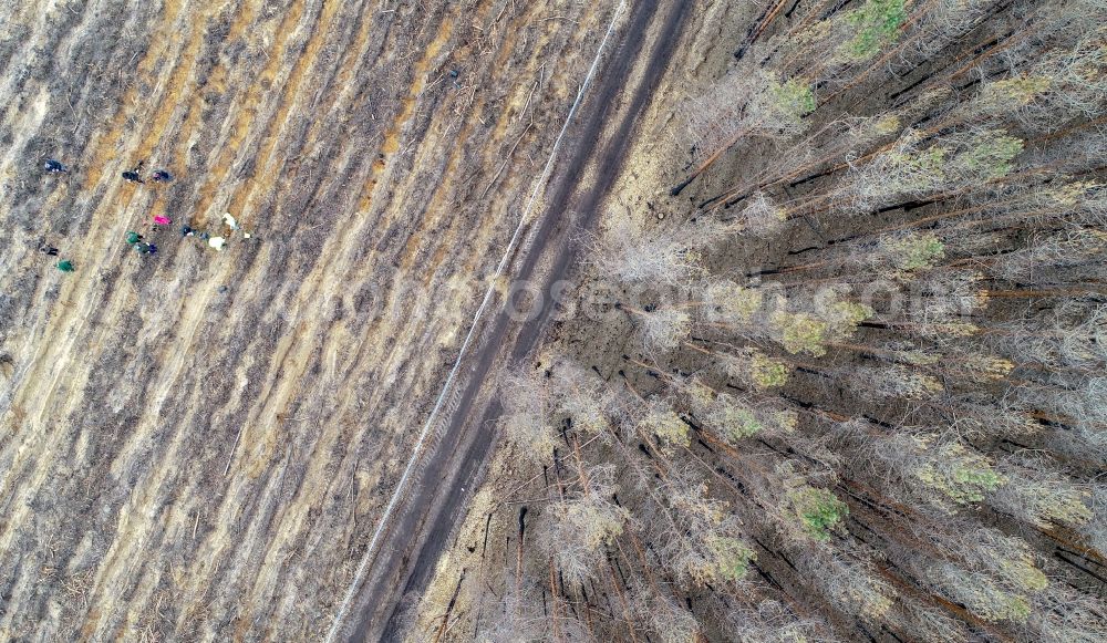 Klausdorf from above - Damage by the Great Fire - destroyed forest fire tree population in a wooded area - forest terrain in Treuenbrietzen in the state Brandenburg, Germany