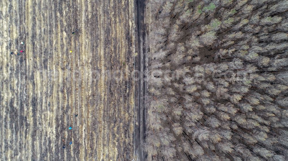 Aerial image Klausdorf - Damage by the Great Fire - destroyed forest fire tree population in a wooded area - forest terrain in Treuenbrietzen in the state Brandenburg, Germany