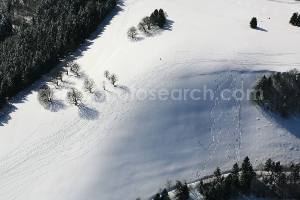 Aitern from the bird's eye view: Winter sports resort in the Black Forest in Aitern in Baden-Wuerttemberg. Ski tracks in fresh snow and bare trees throw shadows on the snow surface