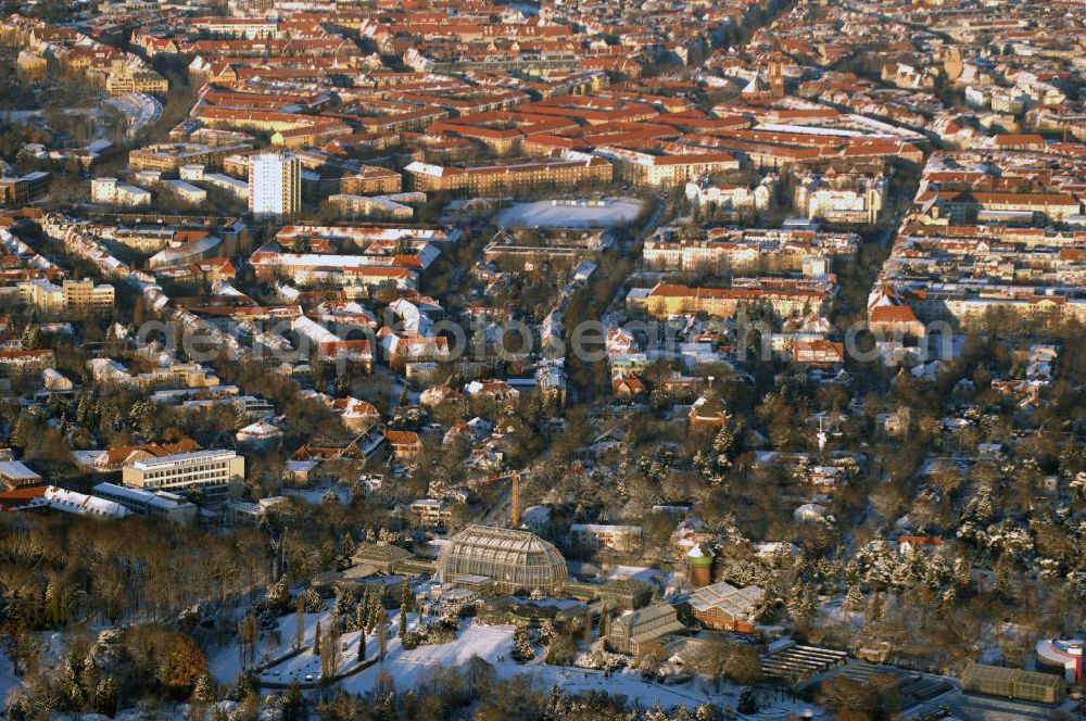 Aerial image Berlin - Verschneite Winterlandschaft bei den Sanierungsarbeiten des Botanischen Garten Berlin-Dahlem. Die Grundsanierung des 100 Jahre alten Komplexes war unumgänglich, da das denkmalgeschützte Wahrzeichen für Wissenschaft, Forschung und Lehre sowie für die breite Öffentlichkeit dauerhaft erhalten werden soll. Millionen feiner Haarrisse durchziehen die großflächigen Verglasungen. Seit August 2006 dauern die bis zum Dezember 2008 geplanten Sanierungsarbeiten.Botanischer Garten und Botanisches Museum Berlin-Dahlem (BGBM) Zentraleinrichtung der Freien Universität Berlin, Königin-Luise-Str. 6-8, 14195 Berlin,Tel. +49(0)30 838501 00, Fax +49(0)30 838501 86, Email: zebqbm@bqbm.org