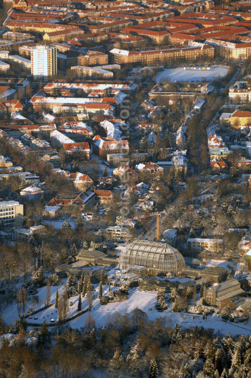 Aerial photograph Berlin - Verschneite Winterlandschaft bei den Sanierungsarbeiten des Botanischen Garten Berlin-Dahlem. Die Grundsanierung des 100 Jahre alten Komplexes war unumgänglich, da das denkmalgeschützte Wahrzeichen für Wissenschaft, Forschung und Lehre sowie für die breite Öffentlichkeit dauerhaft erhalten werden soll. Millionen feiner Haarrisse durchziehen die großflächigen Verglasungen. Seit August 2006 dauern die bis zum Dezember 2008 geplanten Sanierungsarbeiten.Botanischer Garten und Botanisches Museum Berlin-Dahlem (BGBM) Zentraleinrichtung der Freien Universität Berlin, Königin-Luise-Str. 6-8, 14195 Berlin,Tel. +49(0)30 838501 00, Fax +49(0)30 838501 86, Email: zebqbm@bqbm.org