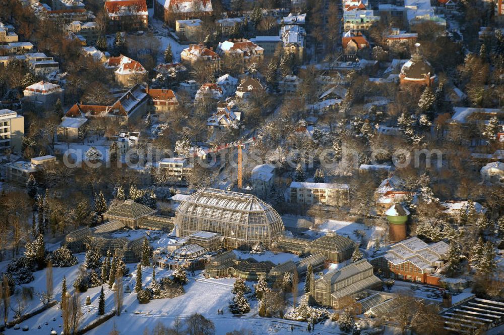 Berlin from the bird's eye view: Verschneite Winterlandschaft bei den Sanierungsarbeiten des Botanischen Garten Berlin-Dahlem. Die Grundsanierung des 100 Jahre alten Komplexes war unumgänglich, da das denkmalgeschützte Wahrzeichen für Wissenschaft, Forschung und Lehre sowie für die breite Öffentlichkeit dauerhaft erhalten werden soll. Millionen feiner Haarrisse durchziehen die großflächigen Verglasungen. Seit August 2006 dauern die bis zum Dezember 2008 geplanten Sanierungsarbeiten.Botanischer Garten und Botanisches Museum Berlin-Dahlem (BGBM) Zentraleinrichtung der Freien Universität Berlin, Königin-Luise-Str. 6-8, 14195 Berlin,Tel. +49(0)30 838501 00, Fax +49(0)30 838501 86, Email: zebqbm@bqbm.org