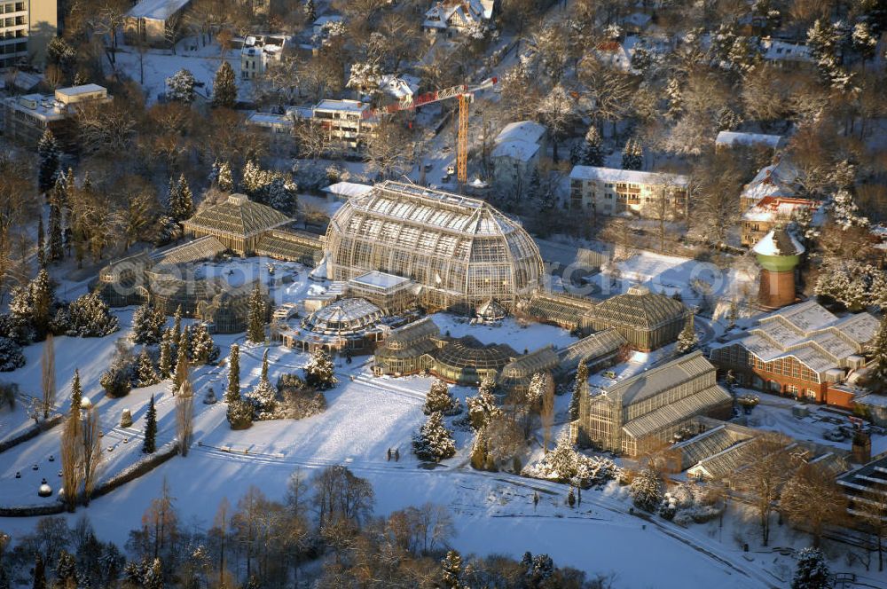 Aerial image Berlin - Verschneite Winterlandschaft bei den Sanierungsarbeiten des Botanischen Garten Berlin-Dahlem. Die Grundsanierung des 100 Jahre alten Komplexes war unumgänglich, da das denkmalgeschützte Wahrzeichen für Wissenschaft, Forschung und Lehre sowie für die breite Öffentlichkeit dauerhaft erhalten werden soll. Millionen feiner Haarrisse durchziehen die großflächigen Verglasungen. Seit August 2006 dauern die bis zum Dezember 2008 geplanten Sanierungsarbeiten.Botanischer Garten und Botanisches Museum Berlin-Dahlem (BGBM) Zentraleinrichtung der Freien Universität Berlin, Königin-Luise-Str. 6-8, 14195 Berlin,Tel. +49(0)30 838501 00, Fax +49(0)30 838501 86, Email: zebqbm@bqbm.org