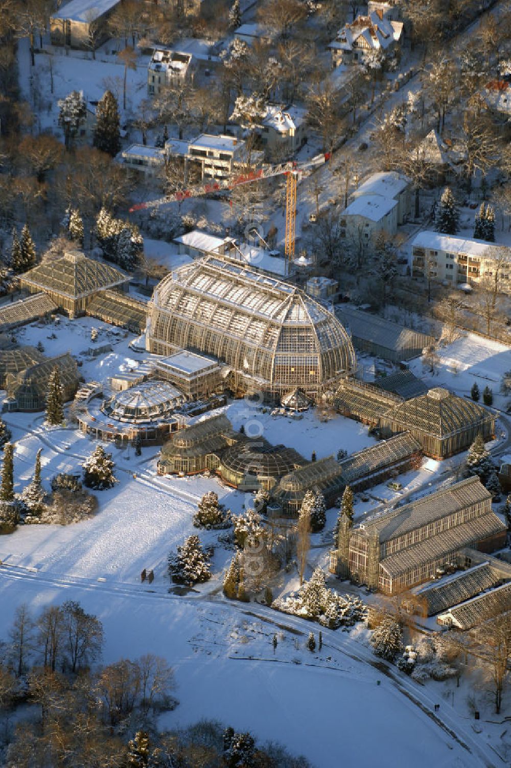 Berlin from the bird's eye view: Verschneite Winterlandschaft bei den Sanierungsarbeiten des Botanischen Garten Berlin-Dahlem. Die Grundsanierung des 100 Jahre alten Komplexes war unumgänglich, da das denkmalgeschützte Wahrzeichen für Wissenschaft, Forschung und Lehre sowie für die breite Öffentlichkeit dauerhaft erhalten werden soll. Millionen feiner Haarrisse durchziehen die großflächigen Verglasungen. Seit August 2006 dauern die bis zum Dezember 2008 geplanten Sanierungsarbeiten.Botanischer Garten und Botanisches Museum Berlin-Dahlem (BGBM) Zentraleinrichtung der Freien Universität Berlin, Königin-Luise-Str. 6-8, 14195 Berlin,Tel. +49(0)30 838501 00, Fax +49(0)30 838501 86, Email: zebqbm@bqbm.org