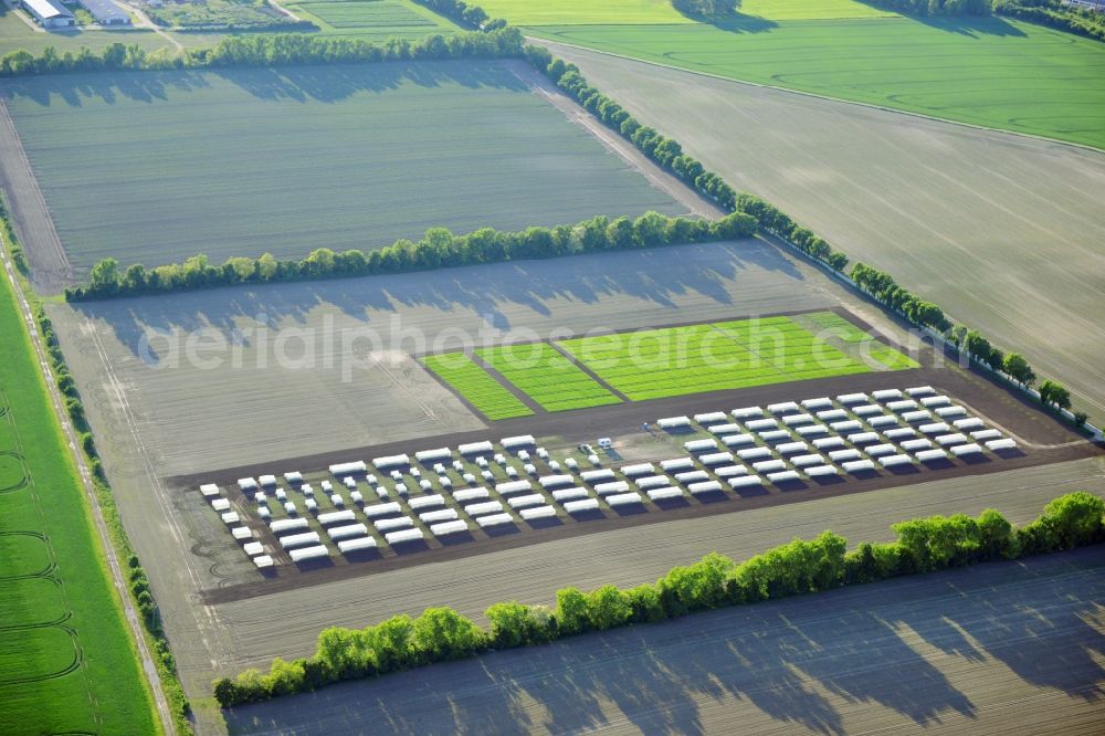 Aerial photograph Emersleben - Experimental field rows of a commercial farm in Emersleben in Saxony-Anhalt