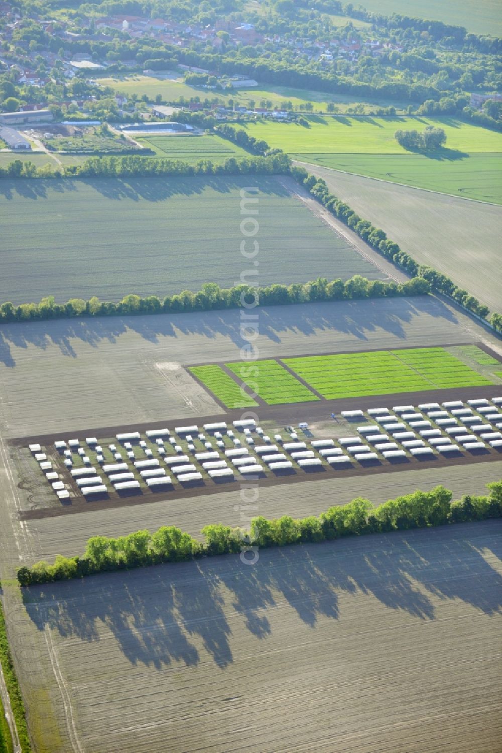 Emersleben from above - Experimental field rows of a commercial farm in Emersleben in Saxony-Anhalt