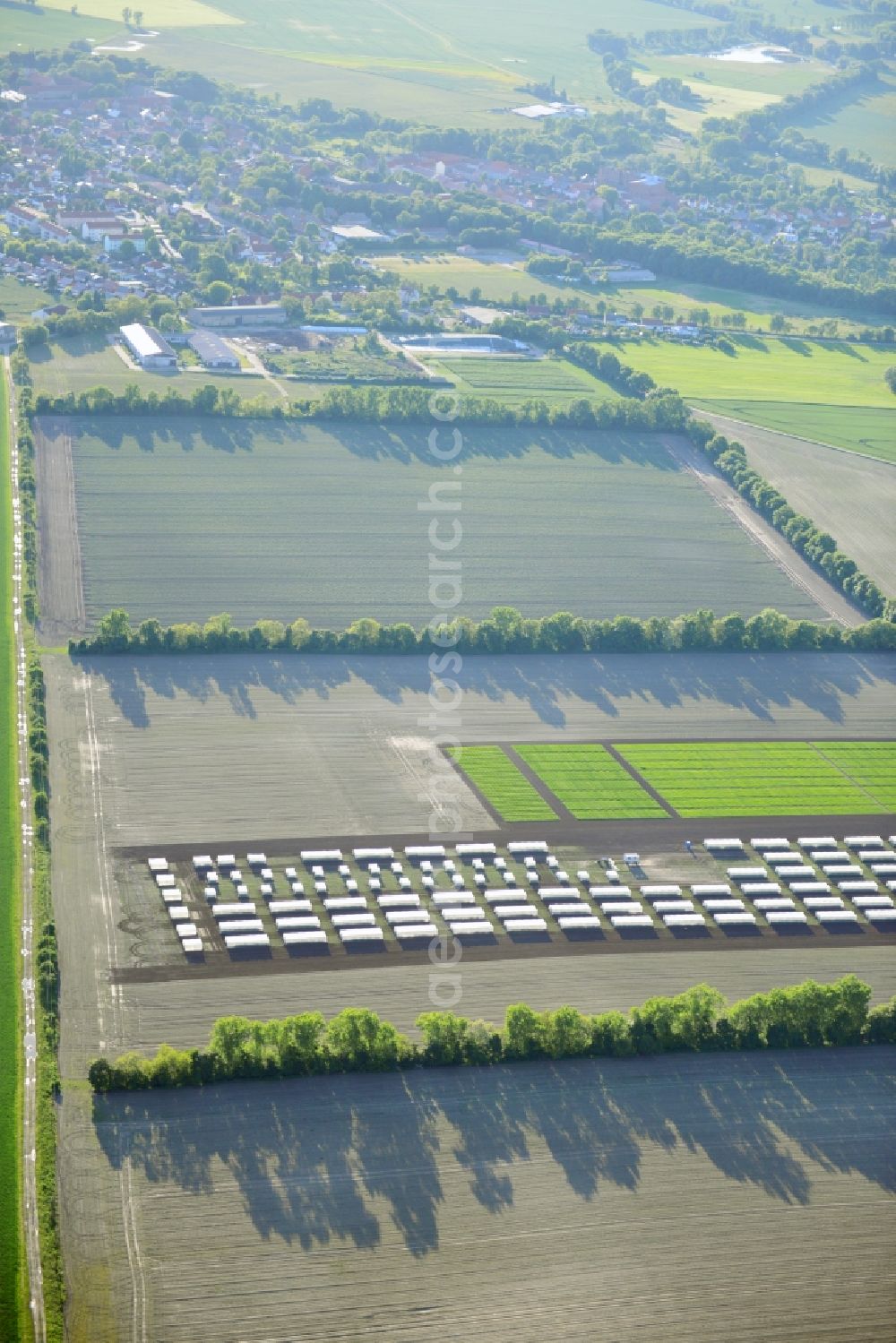 Emersleben from the bird's eye view: Experimental field rows of a commercial farm in Emersleben in Saxony-Anhalt