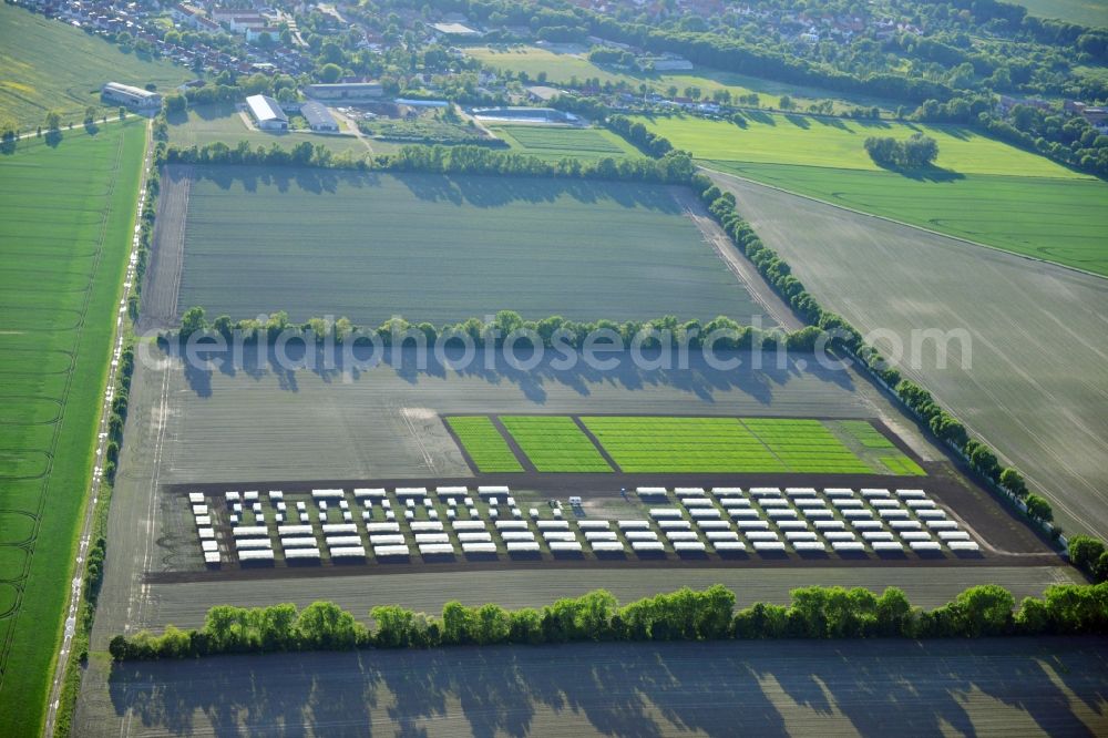 Aerial image Emersleben - Experimental field rows of a commercial farm in Emersleben in Saxony-Anhalt