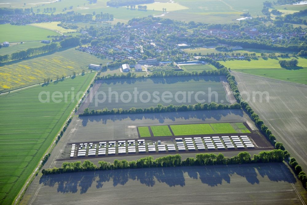 Aerial photograph Emersleben - Experimental field rows of a commercial farm in Emersleben in Saxony-Anhalt