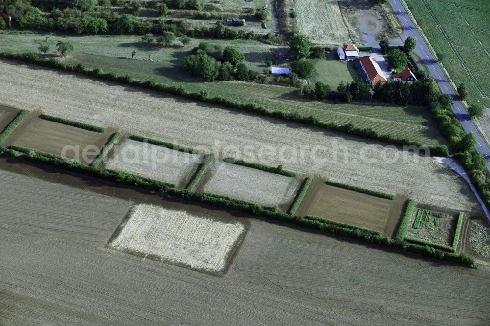 Quedlinburg from above - Experimental fields Structures on agricultural fields in Quedlinburg in the state Saxony-Anhalt, Germany