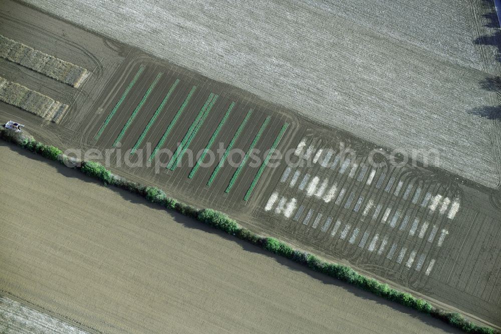 Quedlinburg from the bird's eye view: Experimental fields Structures on agricultural fields in Quedlinburg in the state Saxony-Anhalt, Germany