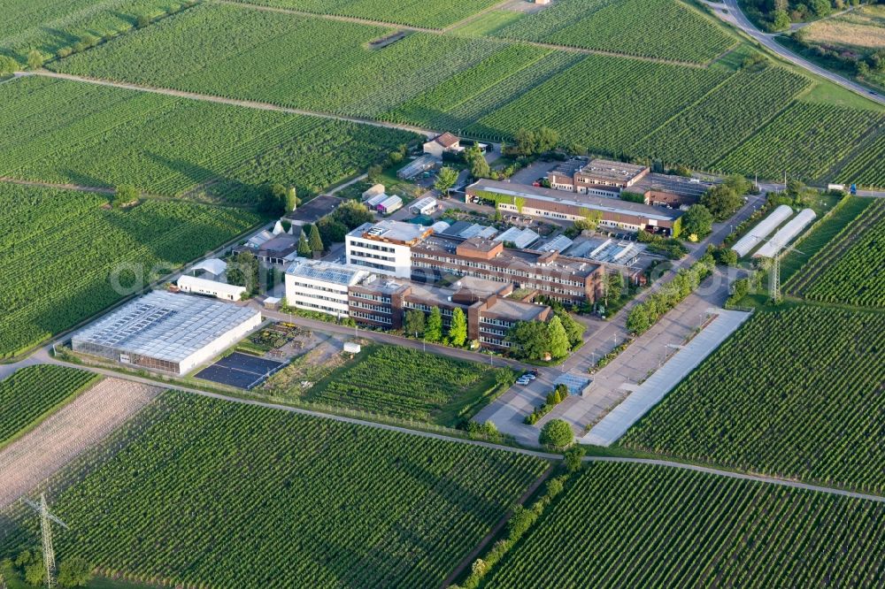 Aerial image Neustadt an der Weinstraße - Administrative building of the State Authority of Dienstleistungszentrum Laendlicher Raum Rheinpfalz in the district Mussbach in Neustadt an der Weinstrasse in the state Rhineland-Palatinate, Germany