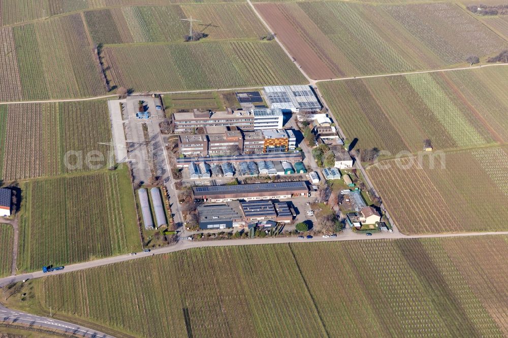 Aerial photograph Neustadt an der Weinstraße - Administrative building of the State Authority of Dienstleistungszentrum Laendlicher Raum Rheinpfalz in the district Mussbach in Neustadt an der Weinstrasse in the state Rhineland-Palatinate, Germany