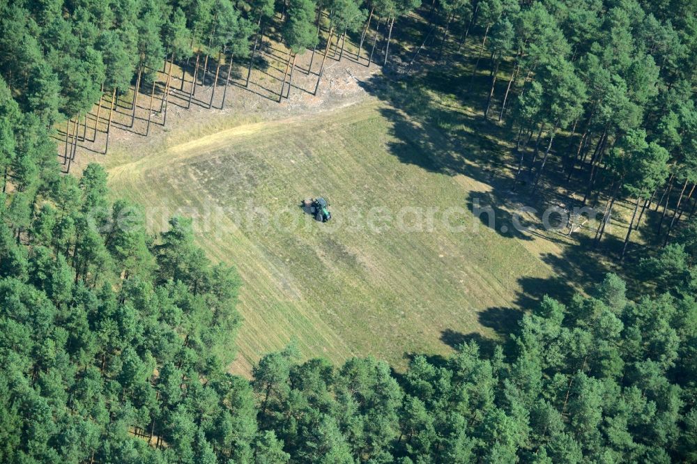 Spreenhagen from the bird's eye view: Structures of a field landscape in Spreenhagen in the state Brandenburg