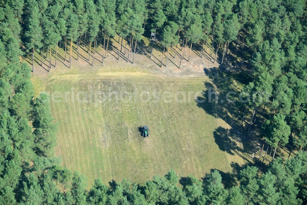 Aerial image Spreenhagen - Structures of a field landscape in Spreenhagen in the state Brandenburg