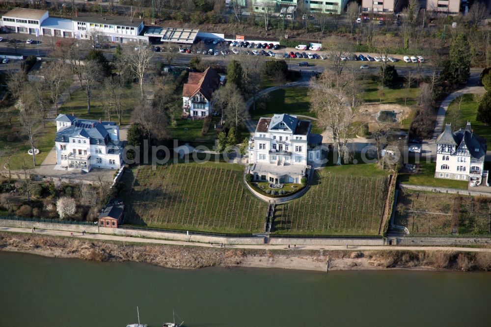 Aerial image Eltville am Rhein - Luxury villa in the residential area of a single-family house settlement on the Wallufer bank of the Rhine - river course in Eltville am Rhein in the state Hesse, Germany