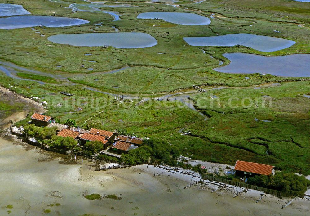 08.07.2008 from above - Blick auf die Vogelinsel im Becken von Arcachon. Ihren Namen verdankt sie den zahlreichen Wasservögeln, denen sie zur Rast und Futtersuche dient. In dem Naturschutzgebiet sind lediglich 4 Hüttendörfer zu finden. Die Küsten der Inseln werden wie im gesamten Becken für die Austernzucht genutzt, die hier durch Ebbe und Flut ermöglicht wird. View at the bird island in theBay of Arcachon. It has its name from the many water birds, which use the place to rest and forage. In the nature reserve only 4 hut villages are located. The shores of the island are used as in the whole basin for the cultivation of oysters, which is made possible by the tides.