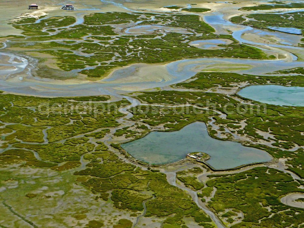 Aerial photograph 08.07.2008 - Blick auf die Vogelinsel im Becken von Arcachon. Ihren Namen verdankt sie den zahlreichen Wasservögeln, denen sie zur Rast und Futtersuche dient. In dem Naturschutzgebiet sind lediglich 4 Hüttendörfer zu finden. Die Küsten der Inseln werden wie im gesamten Becken für die Austernzucht genutzt, die hier durch Ebbe und Flut ermöglicht wird. View at the bird island in theBay of Arcachon. It has its name from the many water birds, which use the place to rest and forage. In the nature reserve only 4 hut villages are located. The shores of the island are used as in the whole basin for the cultivation of oysters, which is made possible by the tides.