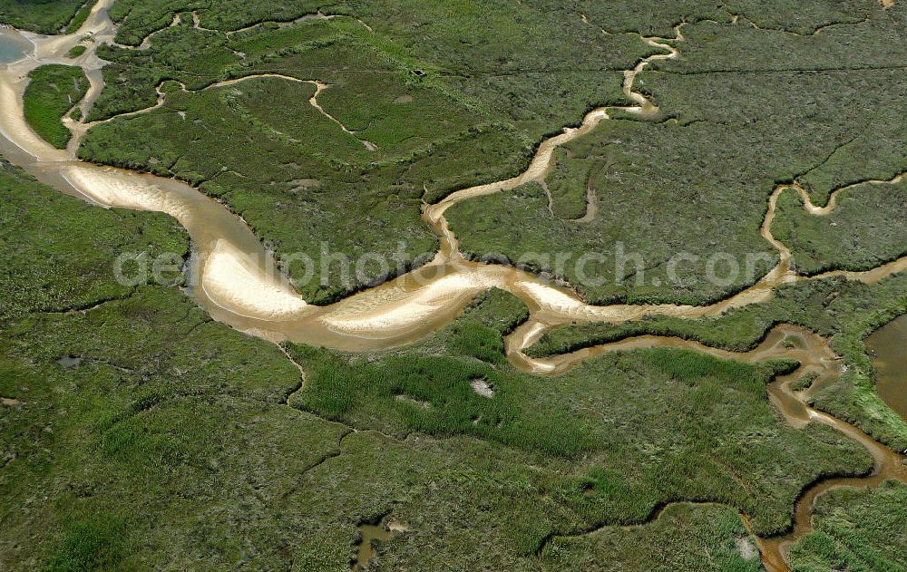 08.07.2008 from above - Blick auf die Vogelinsel im Becken von Arcachon. Ihren Namen verdankt sie den zahlreichen Wasservögeln, denen sie zur Rast und Futtersuche dient. In dem Naturschutzgebiet sind lediglich 4 Hüttendörfer zu finden. Die Küsten der Inseln werden wie im gesamten Becken für die Austernzucht genutzt, die hier durch Ebbe und Flut ermöglicht wird. View at the bird island in theBay of Arcachon. It has its name from the many water birds, which use the place to rest and forage. In the nature reserve only 4 hut villages are located. The shores of the island are used as in the whole basin for the cultivation of oysters, which is made possible by the tides.