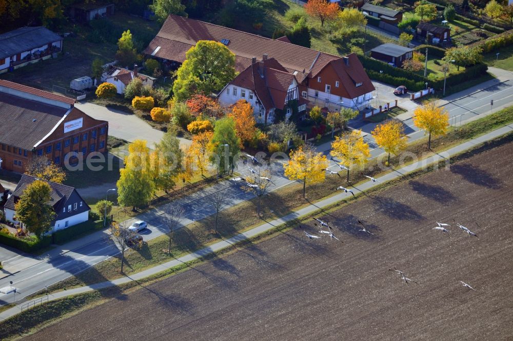 Aerial image Wernigerode - A flock of birds of gray herons on the outskirts of Wernigerode in the Harz in Saxony-Anhalt