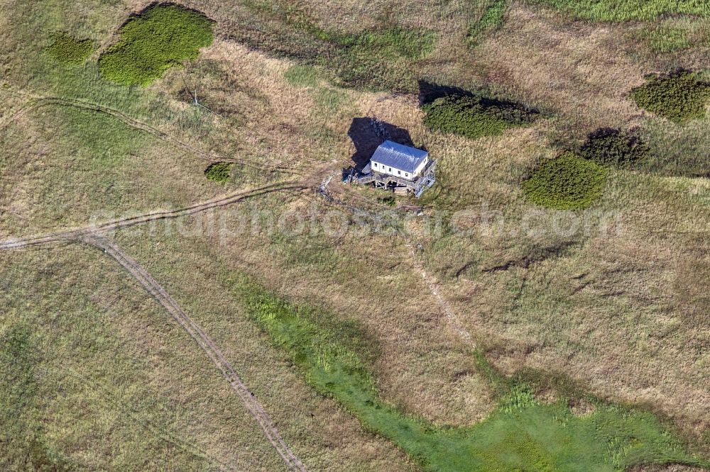 Scharhörn from above - Ornithological station on the island Scharhoern in the North Sea in the state Hamburg, Germany