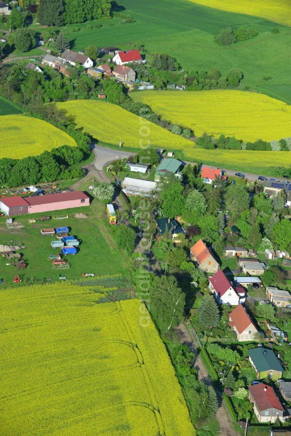 Wriezen Ortsteil Biesdorf from the bird's eye view: Surrounded by blossoming yellow canola fields of the village the village Biesdorf, a district of Wriezen in Brandenburg