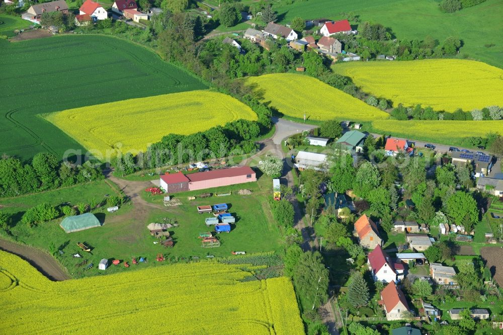 Aerial image Wriezen Ortsteil Biesdorf - Surrounded by blossoming yellow canola fields of the village the village Biesdorf, a district of Wriezen in Brandenburg