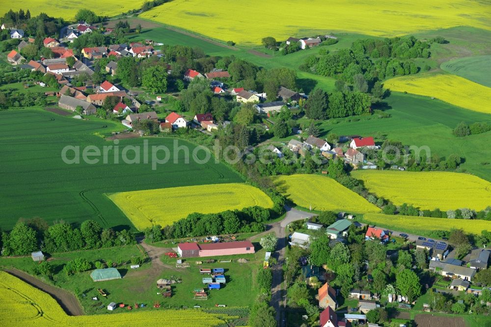 Aerial photograph Wriezen Ortsteil Biesdorf - Surrounded by blossoming yellow canola fields of the village the village Biesdorf, a district of Wriezen in Brandenburg