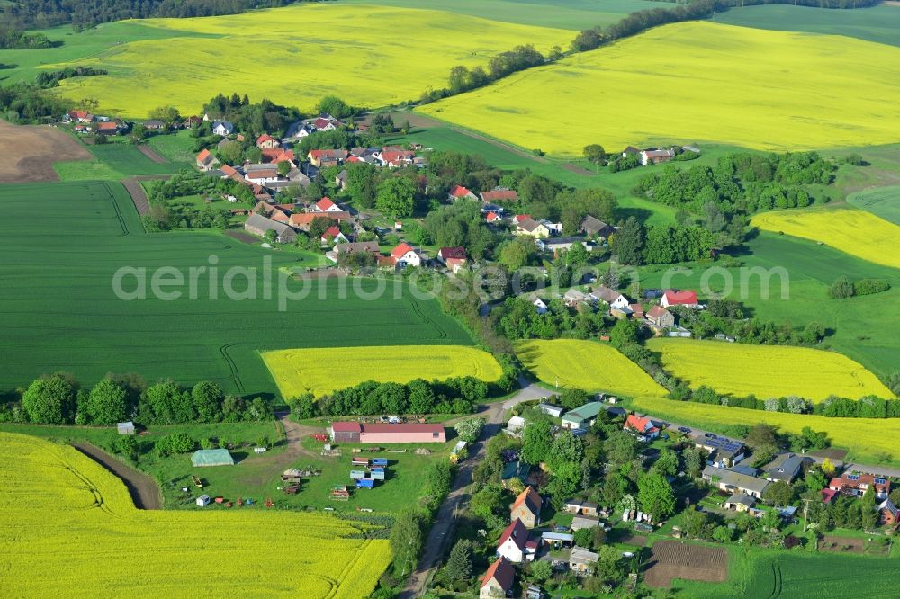 Wriezen Ortsteil Biesdorf from above - Surrounded by blossoming yellow canola fields of the village the village Biesdorf, a district of Wriezen in Brandenburg