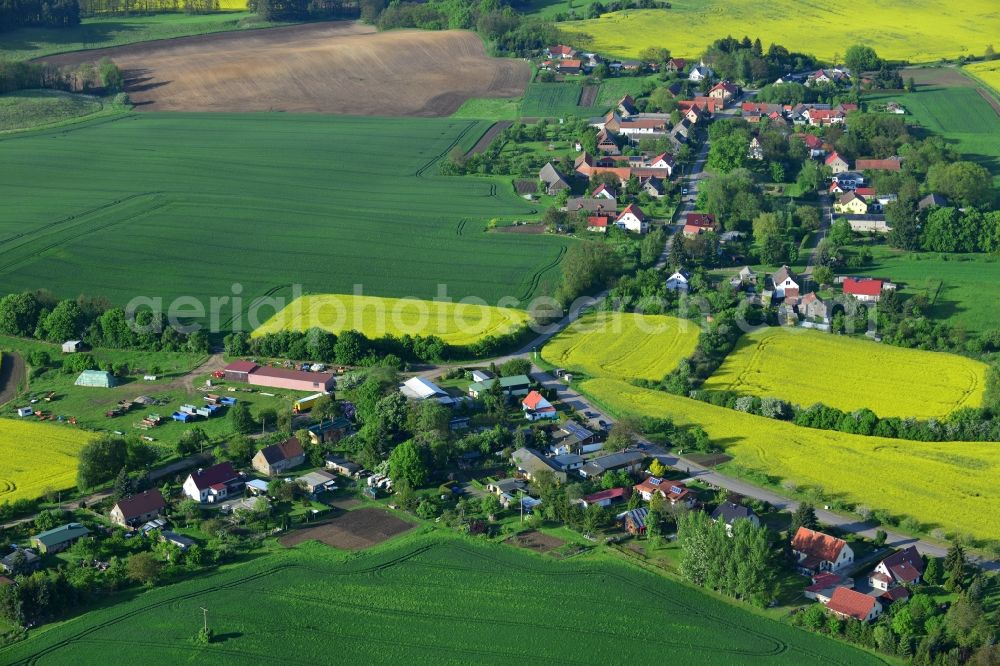 Wriezen Ortsteil Biesdorf from the bird's eye view: Surrounded by blossoming yellow canola fields of the village the village Biesdorf, a district of Wriezen in Brandenburg