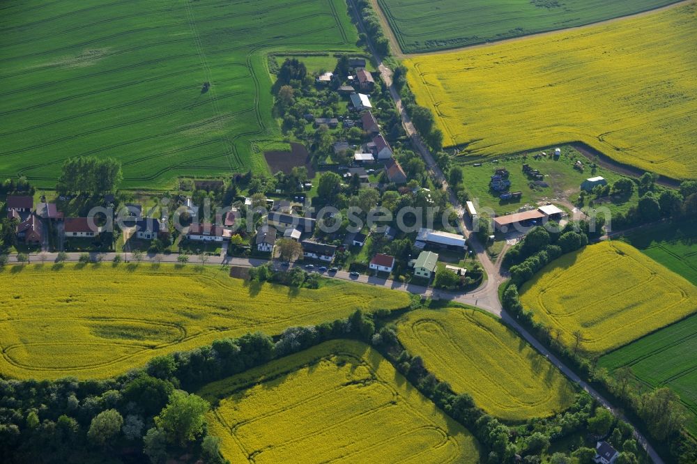 Wriezen Ortsteil Biesdorf from the bird's eye view: Surrounded by blossoming yellow canola fields of the village the village Biesdorf, a district of Wriezen in Brandenburg