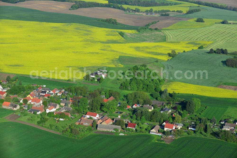 Aerial photograph Wriezen Ortsteil Biesdorf - Surrounded by blossoming yellow canola fields of the village the village Biesdorf, a district of Wriezen in Brandenburg