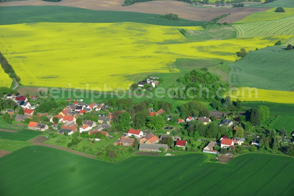 Wriezen Ortsteil Biesdorf from above - Surrounded by blossoming yellow canola fields of the village the village Biesdorf, a district of Wriezen in Brandenburg