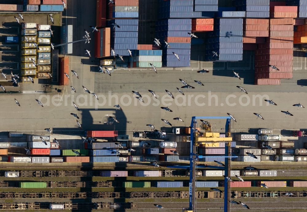 Aerial image Duisburg - Crane Flock overflown container terminal at Logport I in Duisburg - West in the Ruhr area in North Rhine-Westphalia