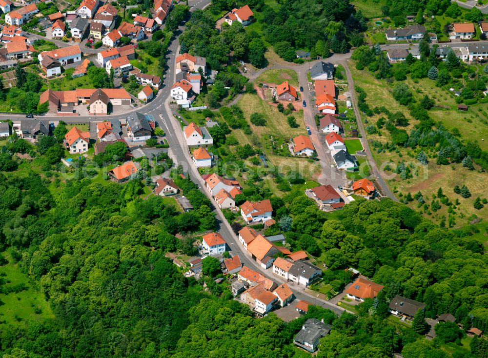 Dannenfels from above - Surrounded by forest and forest areas center of the streets and houses and residential areas in Dannenfels in the state Rhineland-Palatinate, Germany