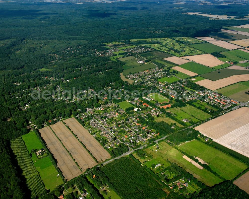 Dassendorf Siedlung from above - Surrounded by forest and forest areas center of the streets and houses and residential areas in Dassendorf Siedlung in the state Schleswig-Holstein, Germany