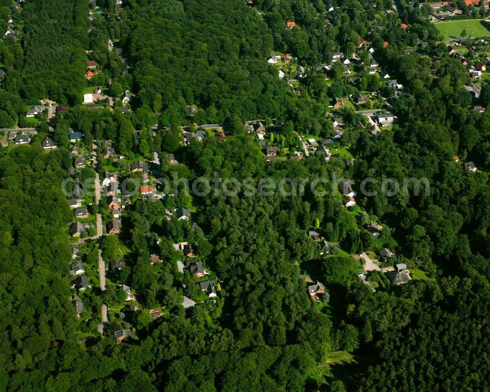 Aerial photograph Dassendorf Siedlung - Surrounded by forest and forest areas center of the streets and houses and residential areas in Dassendorf Siedlung in the state Schleswig-Holstein, Germany