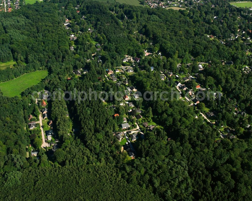 Dassendorf Siedlung from above - Surrounded by forest and forest areas center of the streets and houses and residential areas in Dassendorf Siedlung in the state Schleswig-Holstein, Germany