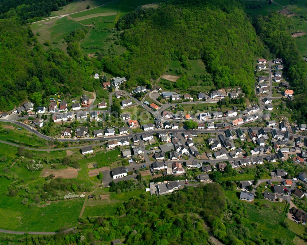 Donsbach from the bird's eye view: Surrounded by forest and forest areas center of the streets and houses and residential areas in Donsbach in the state Hesse, Germany