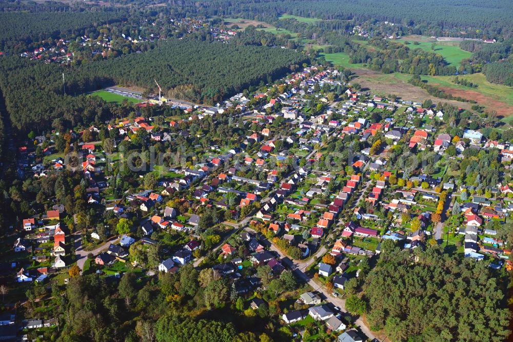 Friedrichsthal from the bird's eye view: Surrounded by forest and forest areas center of the streets and houses and residential areas in Friedrichsthal in the state Brandenburg, Germany