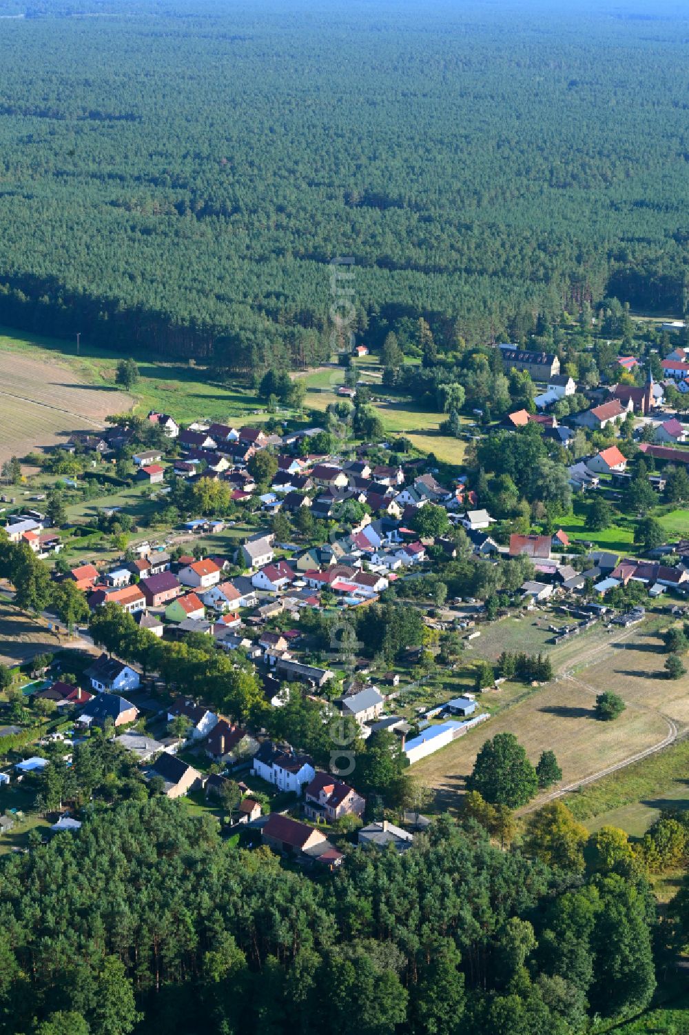 Grunewald from above - Surrounded by forest and forest areas center of the streets and houses and residential areas in Grunewald in the state Brandenburg, Germany