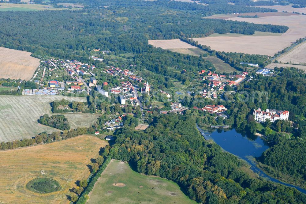 Hardenbeck from the bird's eye view: Surrounded by forest and forest areas center of the streets and houses and residential areas in Hardenbeck in the state Brandenburg, Germany