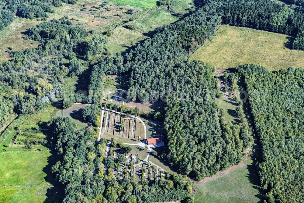 Harsefeld from above - Surrounded by forest and forest areas center of the streets and houses and residential areas in Harsefeld Ehrenberg in the state Lower Saxony, Germany