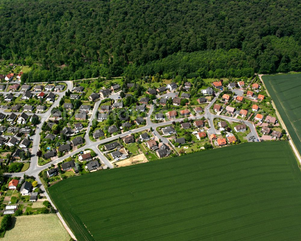 Aerial image Liebenburg - Surrounded by forest and forest areas center of the streets and houses and residential areas in Liebenburg in the state Lower Saxony, Germany