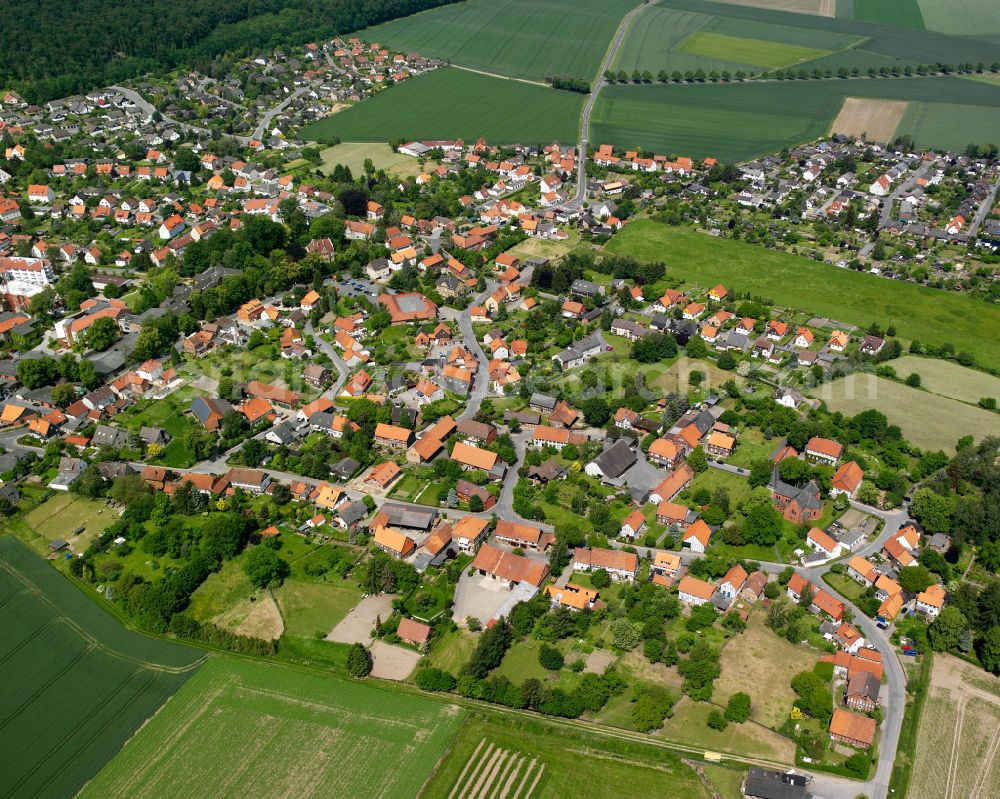 Liebenburg from the bird's eye view: Surrounded by forest and forest areas center of the streets and houses and residential areas in Liebenburg in the state Lower Saxony, Germany