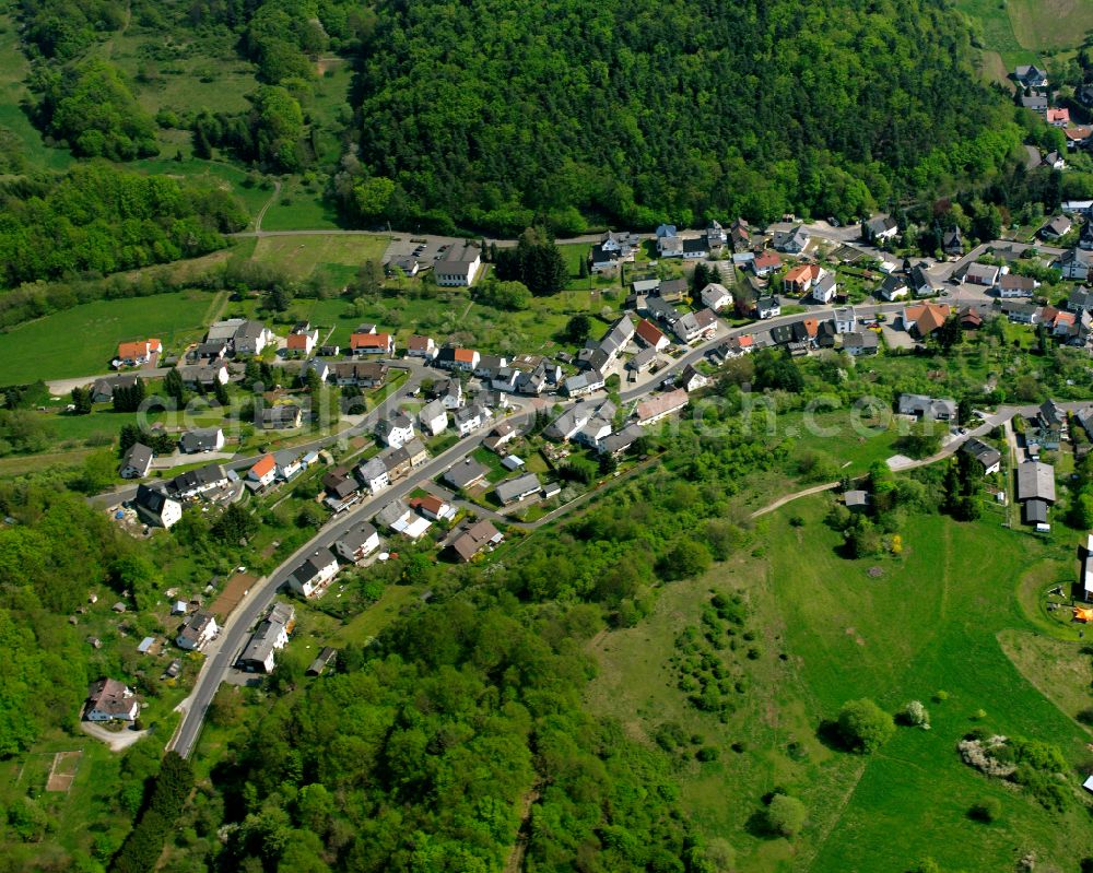 Aerial photograph Medenbach - Surrounded by forest and forest areas center of the streets and houses and residential areas in Medenbach in the state Hesse, Germany