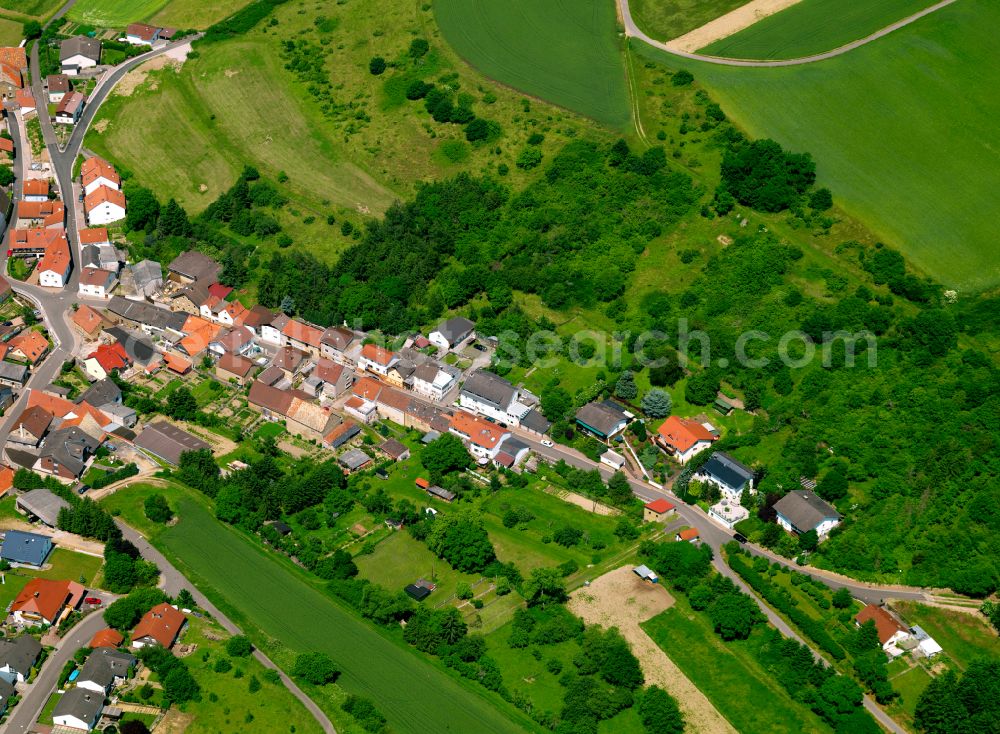 Aerial image Münsterappel - Surrounded by forest and forest areas center of the streets and houses and residential areas in Münsterappel in the state Rhineland-Palatinate, Germany