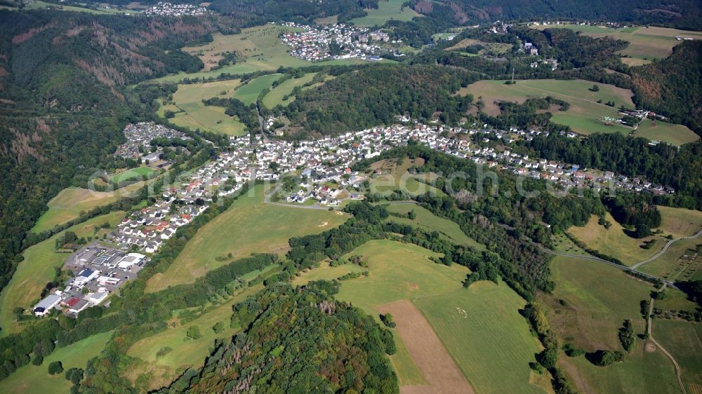 Niederbreitbach from the bird's eye view: Surrounded by forest and forest areas center of the streets and houses and residential areas in Niederbreitbach in the state Rhineland-Palatinate, Germany