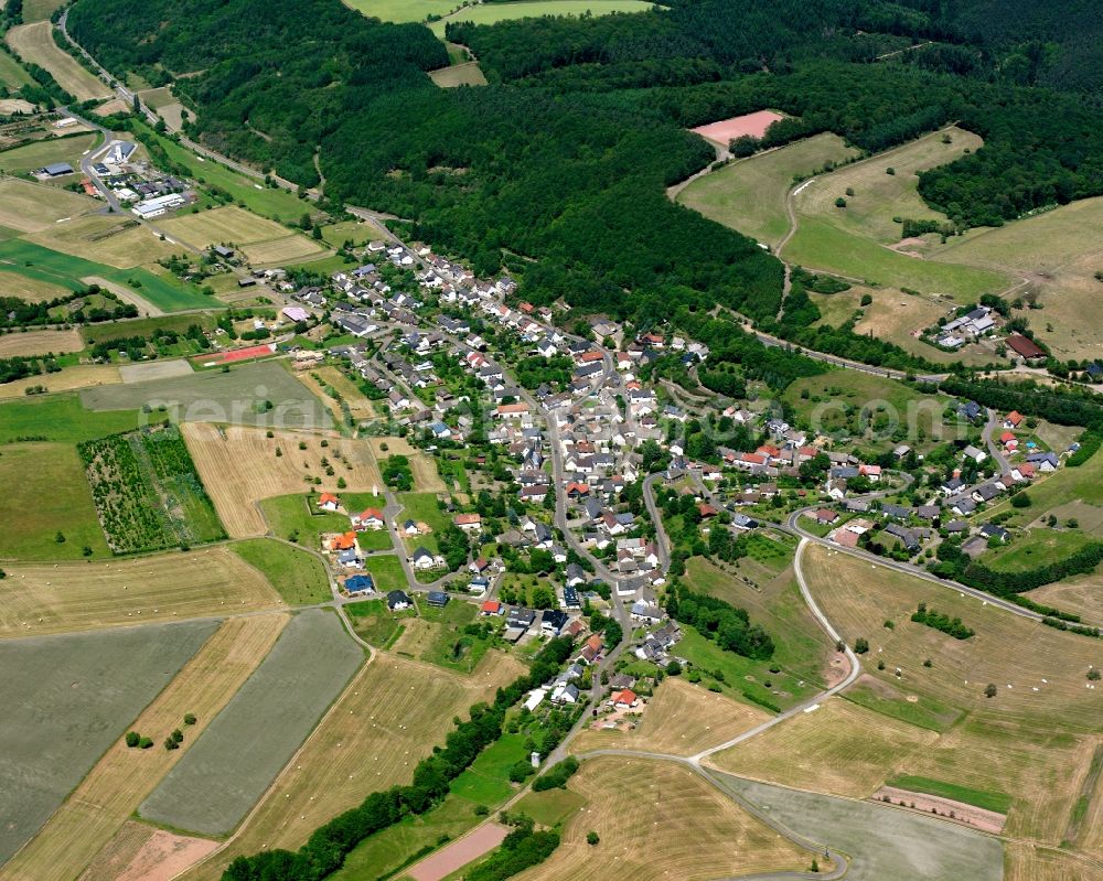 Oberreidenbach from the bird's eye view: Surrounded by forest and forest areas center of the streets and houses and residential areas in Oberreidenbach in the state Rhineland-Palatinate, Germany