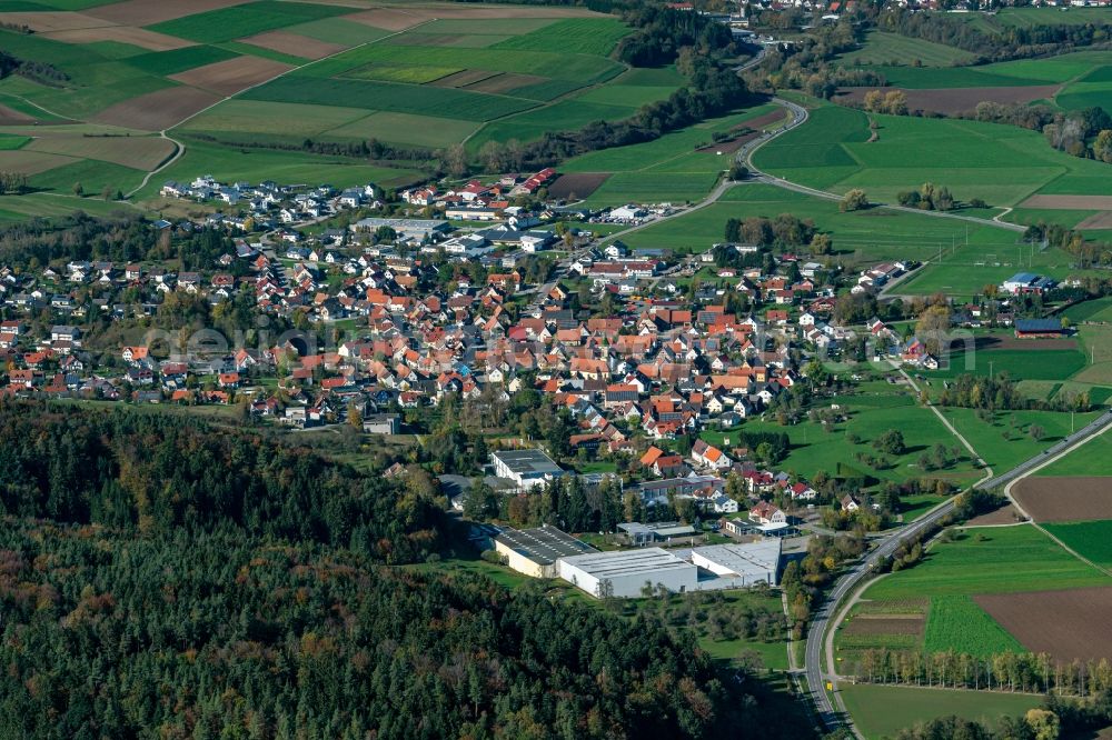 Owingen from the bird's eye view: Surrounded by forest and forest areas center of the streets and houses and residential areas in Owingen in the state Baden-Wurttemberg, Germany